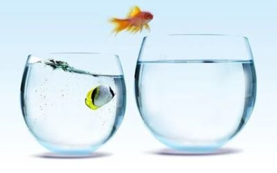 O PAT 2030 aprovou 4 candidaturas para o desenvolvimento de “Iniciativas de experimentação e demonstração de iniciativas piloto em áreas de intervenção dos Fundos da Política de Coesão”